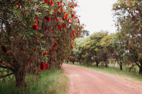 Margaret River Holiday Cottages - Darwin Holiday 17
