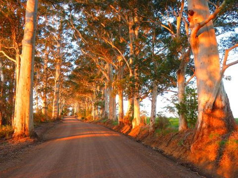 Innisfree Mountain Retreat - Darwin Holiday 10