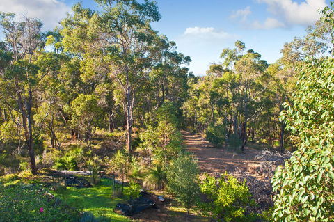 A Hidden Bush Delight - Darwin Holiday 30