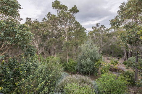 A Hidden Bush Delight - Darwin Holiday 7
