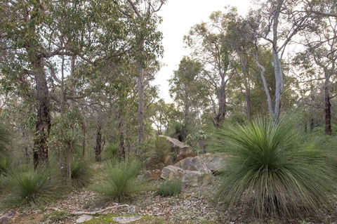 A Hidden Bush Delight - Darwin Holiday 23