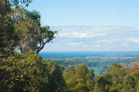 A Hidden Bush Delight - Darwin Holiday 31