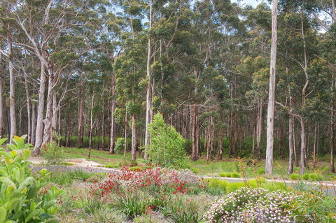 Churchill Studios - Darwin Holiday 9