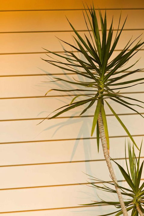 The Billi Resort - Darwin Holiday 44