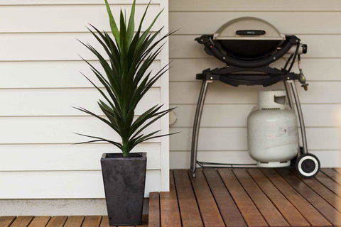 The Billi Resort - Darwin Holiday 30