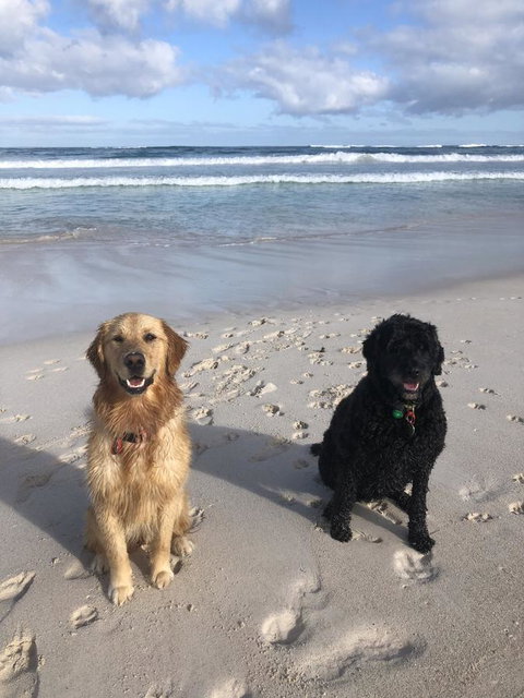 The Bothy Lancelin Family Retreat - Darwin Holiday 32