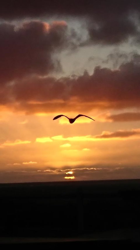 The Bothy Lancelin Family Retreat - Darwin Holiday 28