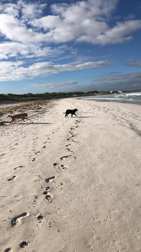The Bothy Lancelin Family Retreat - Darwin Holiday 30