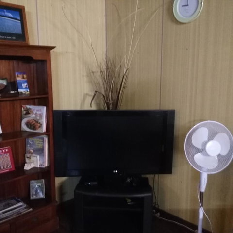 Don\'t Worry Be Happy - Darwin Holiday 5