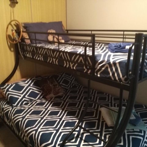 Don\'t Worry Be Happy - Darwin Holiday 13