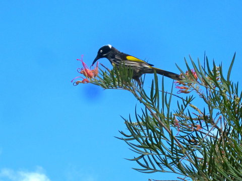 Bridgetown Valley Lodge - Darwin Holiday 42