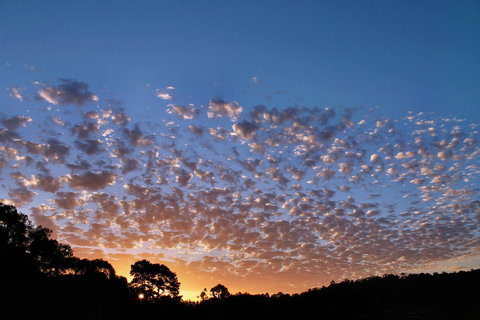 Bridgetown Valley Lodge - Darwin Holiday 6