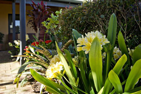 Vintages Accommodation - Darwin Holiday 19