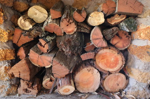 Nannup Bush Retreat - Darwin Holiday 29