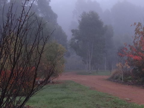 Big Brook Retreat - Darwin Holiday 14