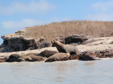 Island View Villas - Darwin Holiday 14