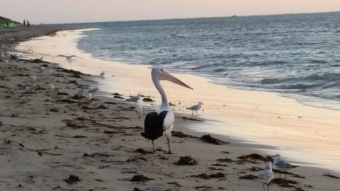 Island View Villas - Darwin Holiday 17