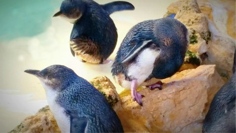 Island View Villas - Darwin Holiday 21