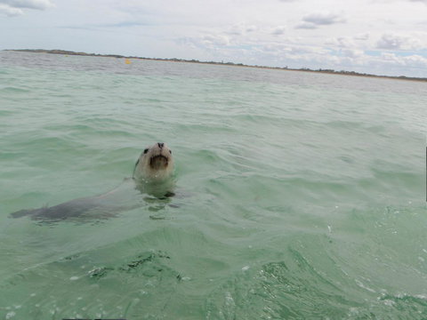 Island View Villas - Darwin Holiday 13