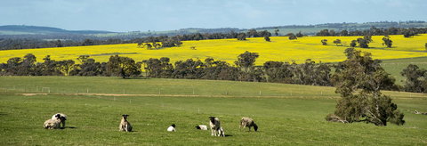 Kendenup Cottages And Lodge - Darwin Holiday 44