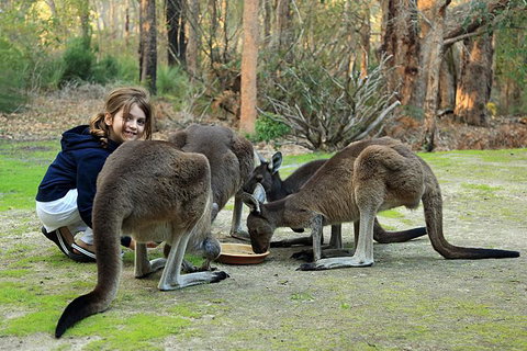 Yelverton Brook Conservation Sanctuary - Darwin Holiday 5