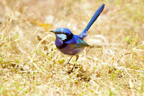 Yelverton Brook Conservation Sanctuary - Darwin Holiday 23