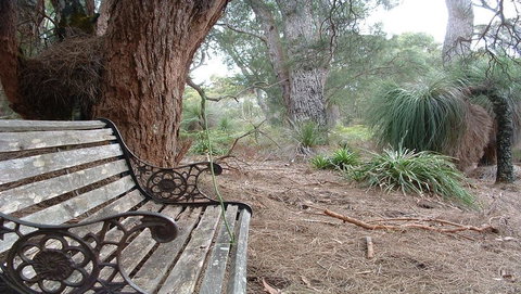 Yelverton Brook Conservation Sanctuary - Darwin Holiday 42