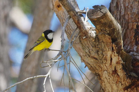 Yelverton Brook Conservation Sanctuary - Darwin Holiday 35