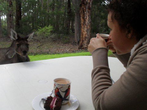 Yelverton Brook Conservation Sanctuary - Darwin Holiday 44