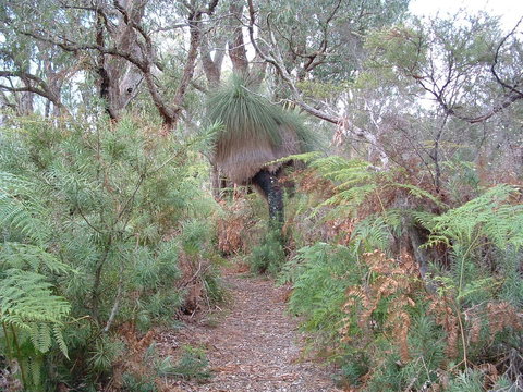 Yelverton Brook Conservation Sanctuary - Darwin Holiday 41