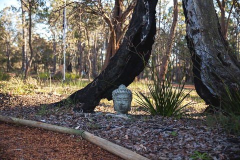 Amaroo Retreat & Spa - Darwin Holiday 13