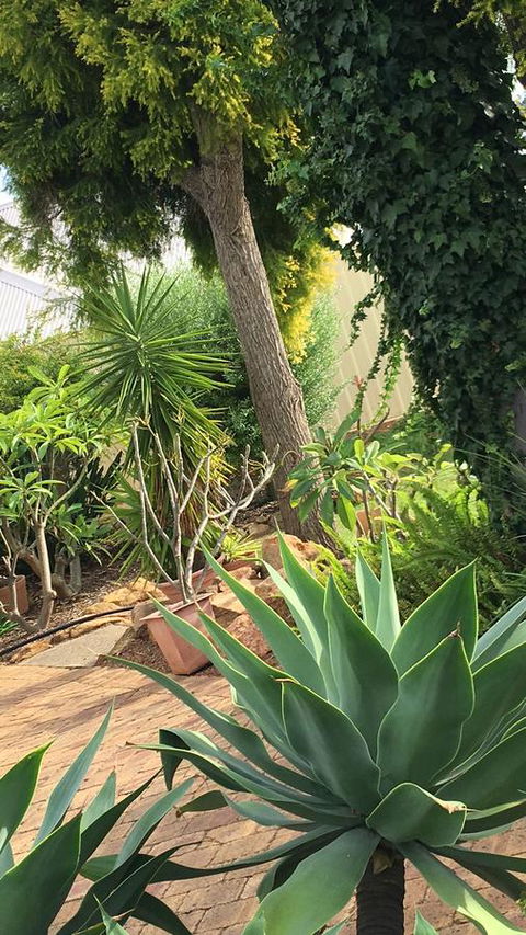 Armadale Cottage Bed & Breakfast - Darwin Holiday 1