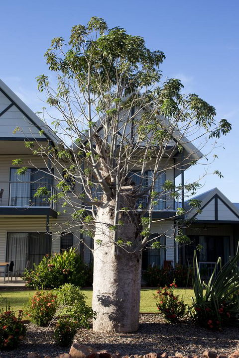 Freshwater East Kimberley Apartments - Darwin Holiday 18