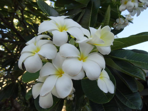 Broome - Darwin Holiday 3