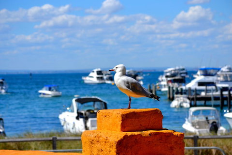 Palms Bed & Breakfast - Darwin Holiday 25