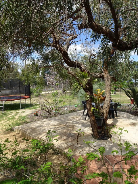 Majestichomestead B&B - Darwin Holiday 7