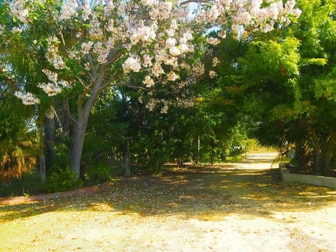 Majestichomestead B&B - Darwin Holiday 33