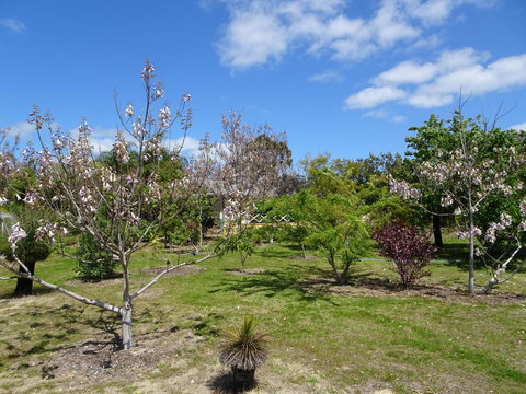 Majestichomestead B&B - Darwin Holiday 27