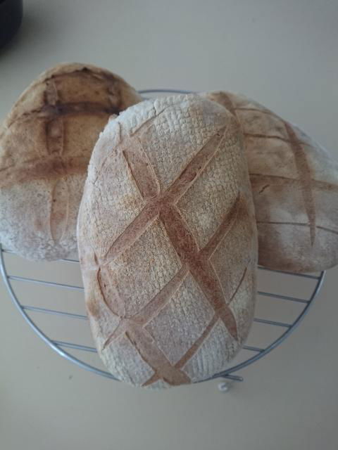 Margaret River Retreat - Darwin Holiday 1