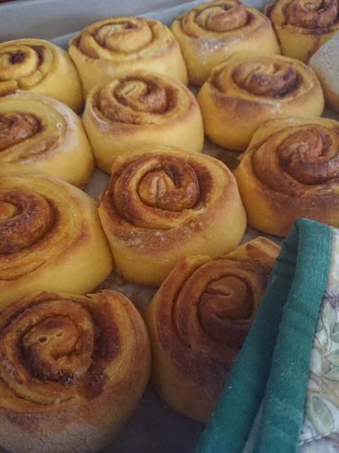 Margaret River Retreat - Darwin Holiday 3