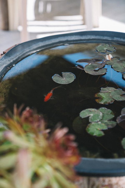 Sun Studio - Darwin Holiday 22