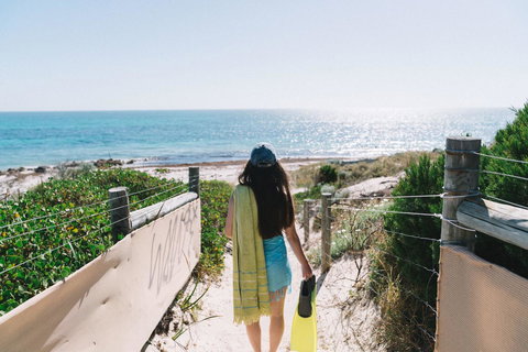 Sun Studio - Darwin Holiday 0