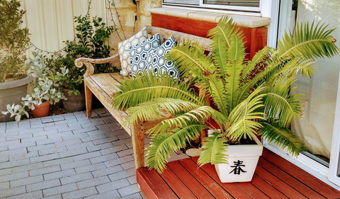 Sun Studio - Darwin Holiday 33