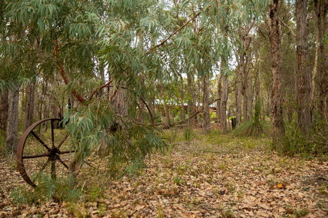 Denmark Forest Retreat - Darwin Holiday 5