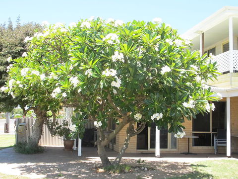Kalbarri Riverfront Unit - Darwin Holiday 6