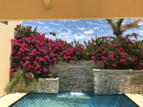 Le Boulevard - Darwin Holiday 17