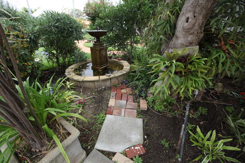 Jacaranda Guest House - Darwin Holiday 32