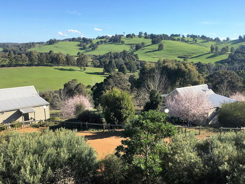 Balingup Highview Chalets - Darwin Holiday 5