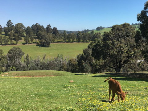 Balingup Highview Chalets - Darwin Holiday 23