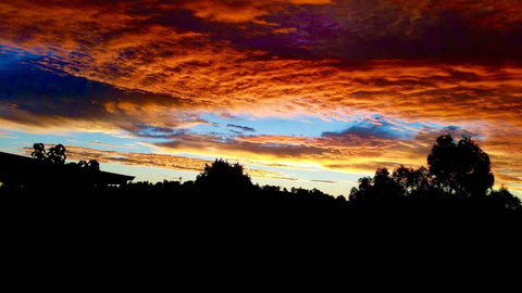 Balingup Highview Chalets - Darwin Holiday 29